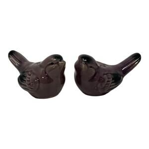 Purple Bird Ceramic Salt and Pepper Shaker Set NWOT